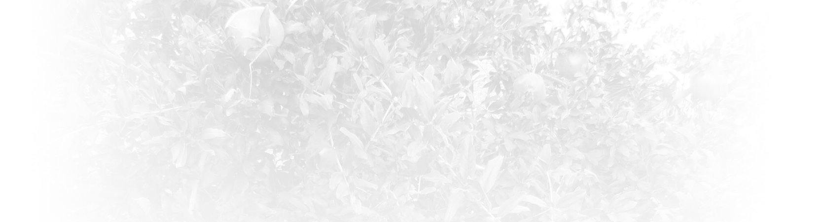 Slide background