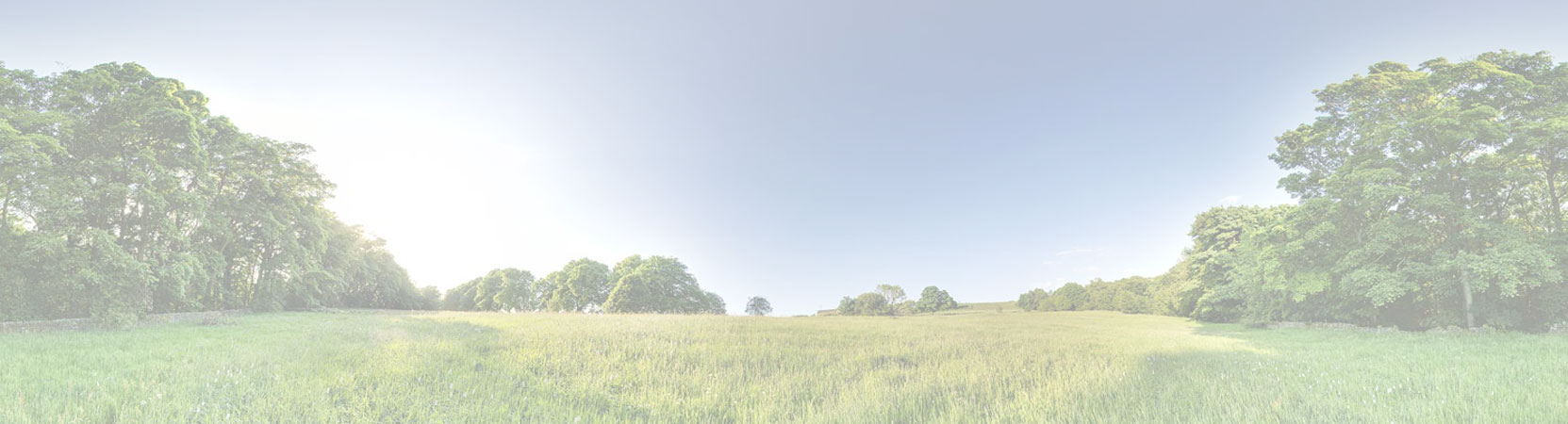 Slide background